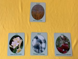 Nature Speaks Oracle Card Pull
