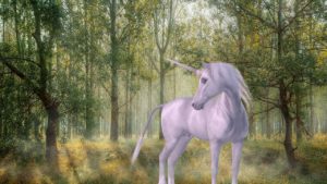 Blog - Unicorn