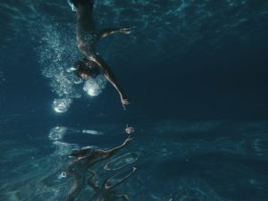 Blog - Free Diving